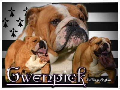 Gwenpick